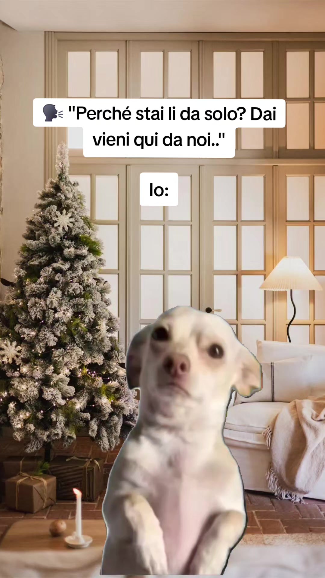 @Catzatte