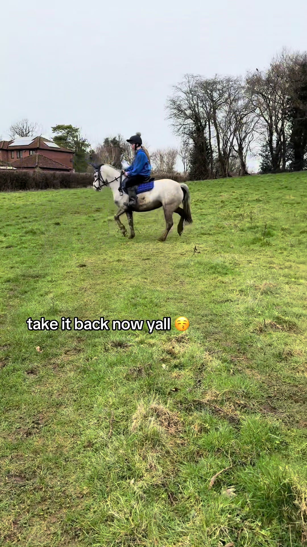 @poppy🐴 🇬🇧