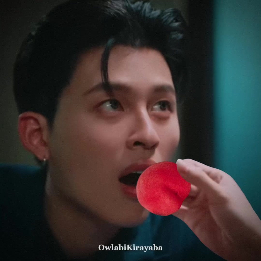 @🥑🌻✮⋆˙owlabikirayaba ⸰ֺ⭑🐻🐼