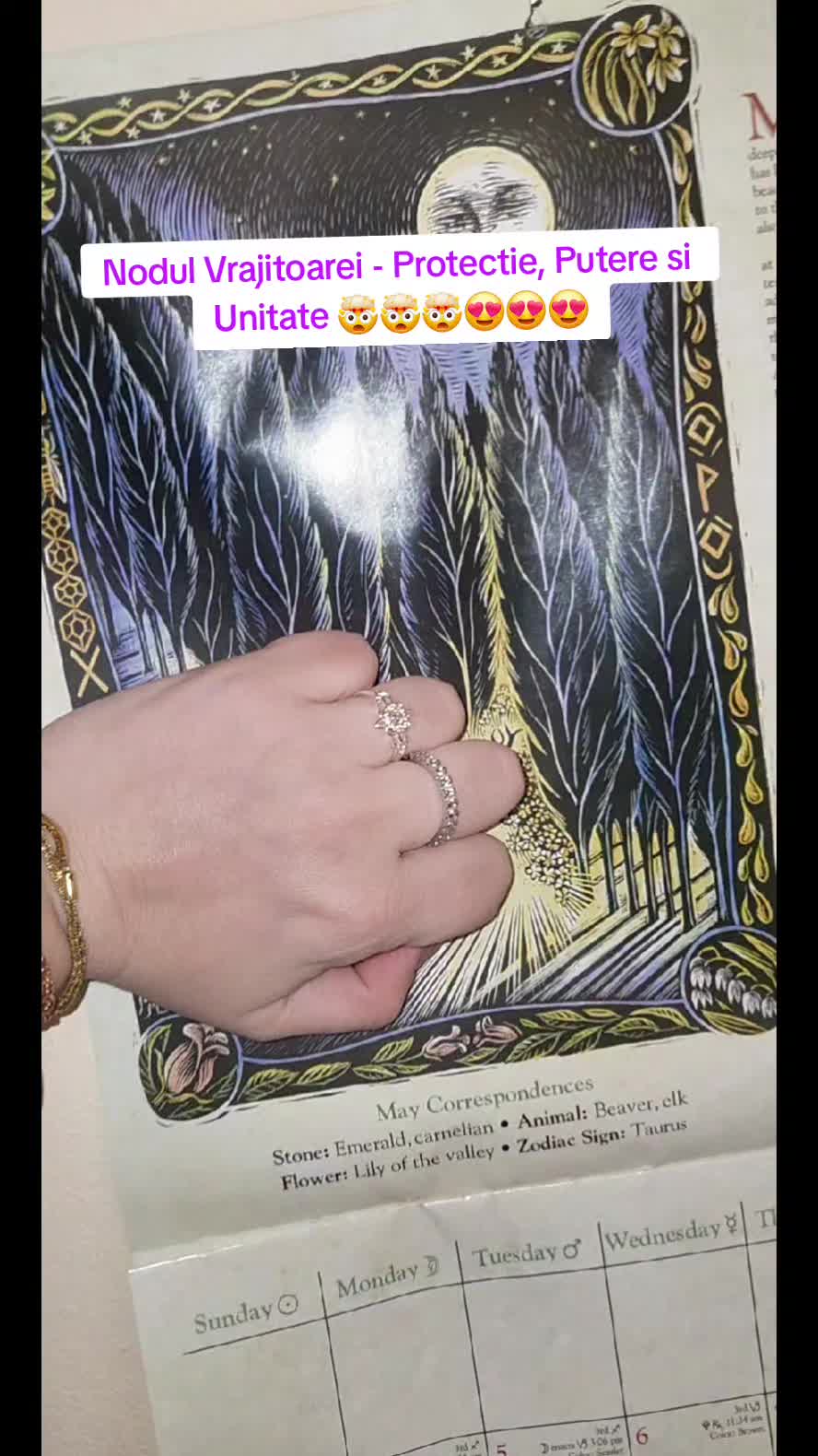 @💣BârfeOnline💣 🧿