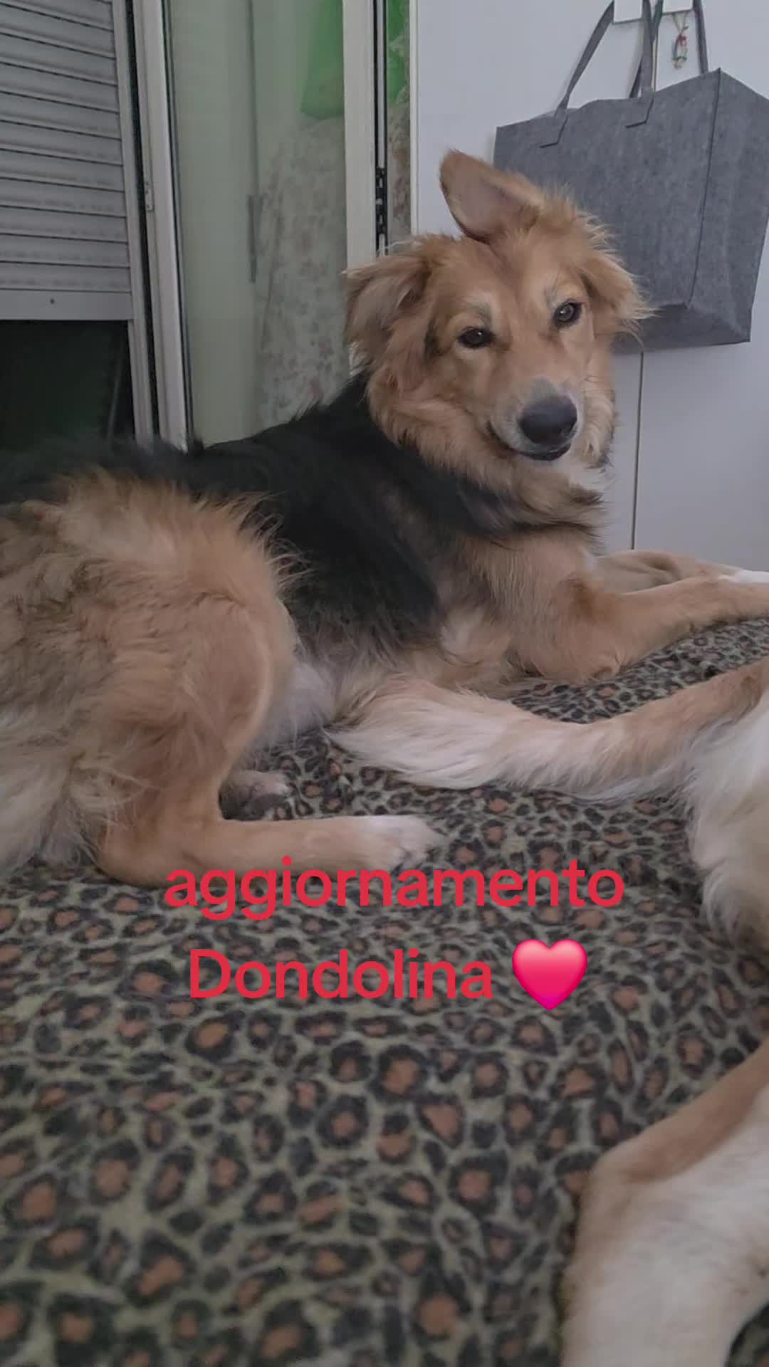 @Maria Rosaria Natill