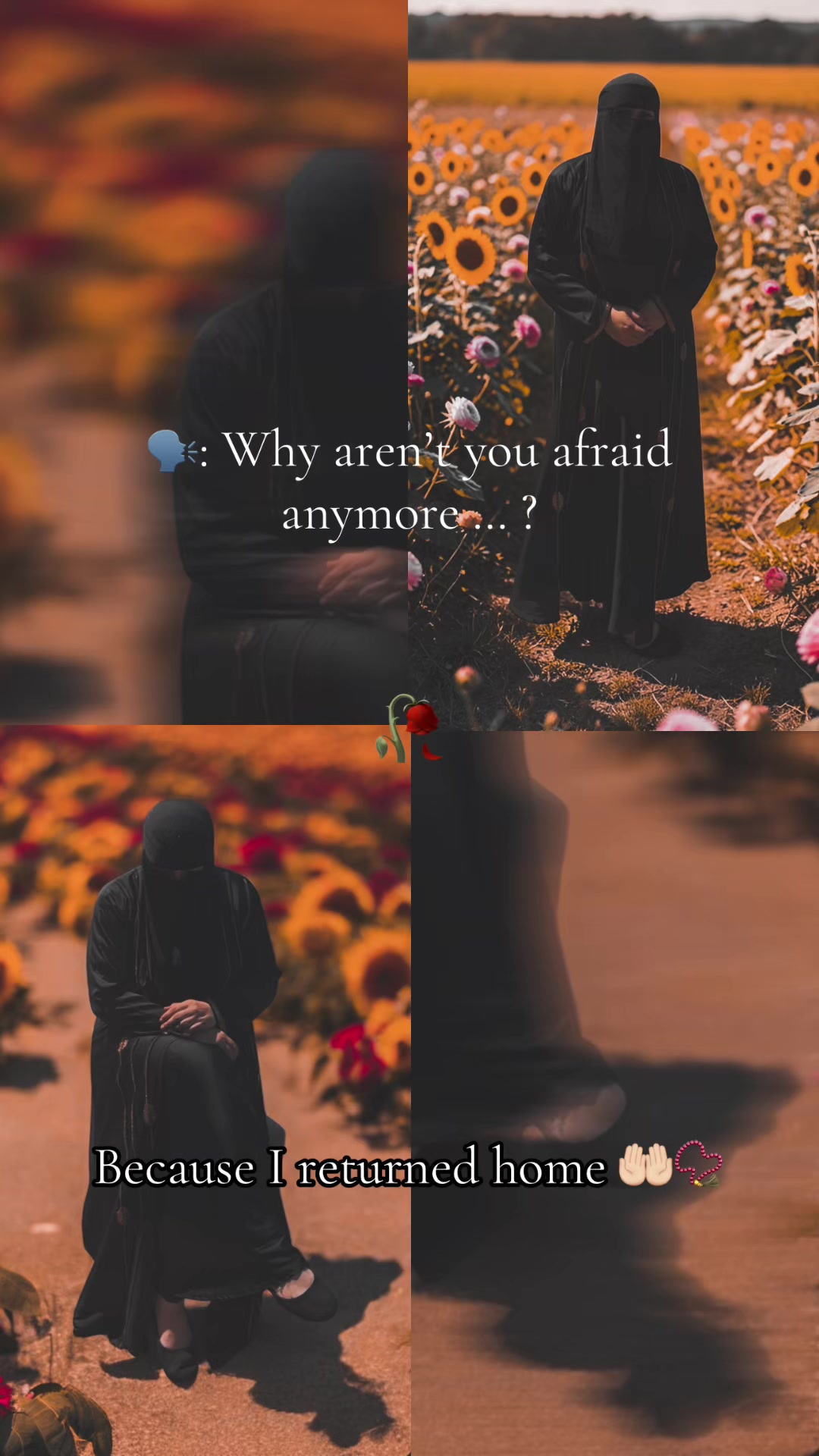 @๐๐จ๐๏ธโ๏ธ ุฑูุจููุง โ๏ธ๐๏ธ๐จ๐