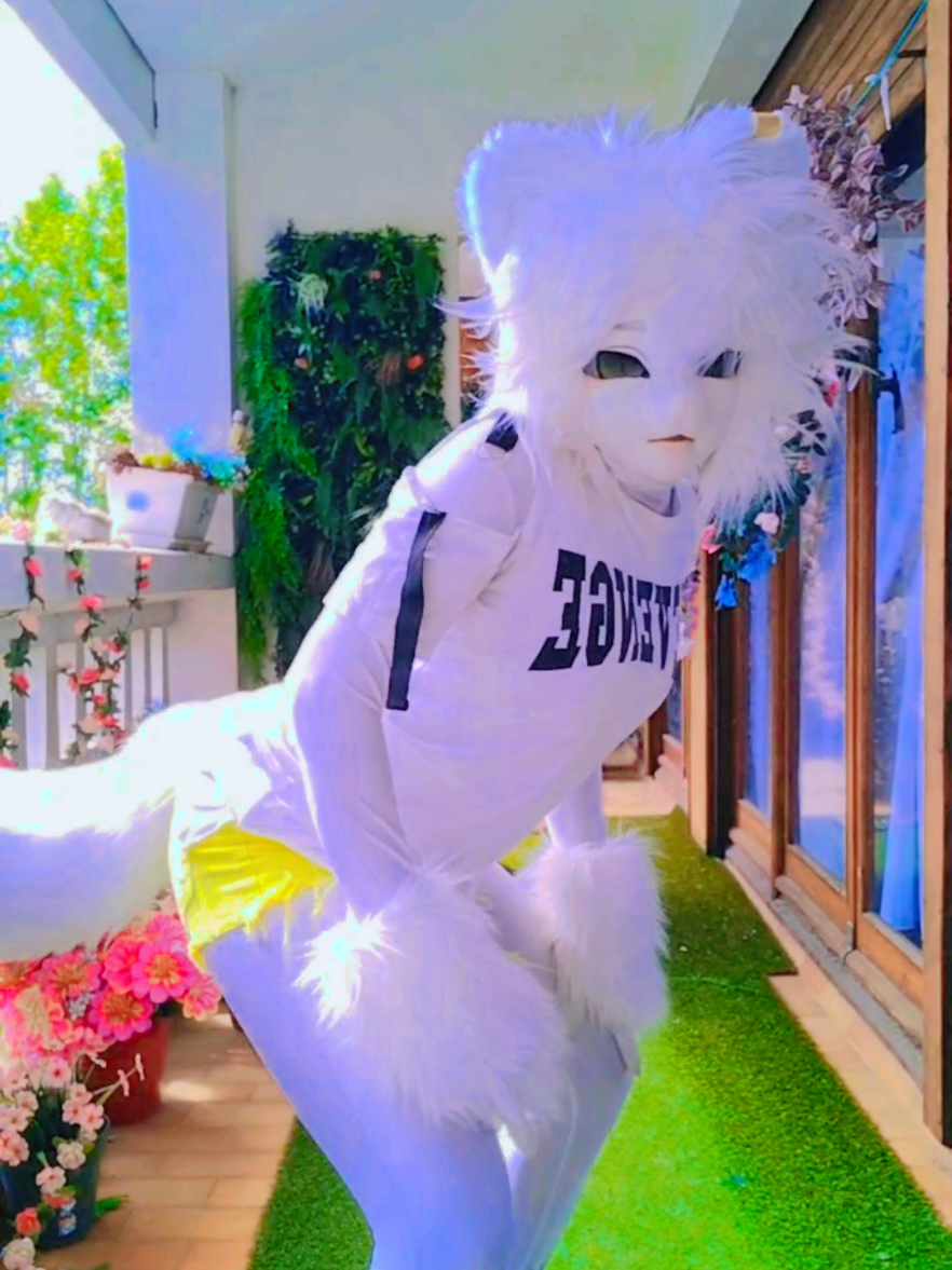 @SnowCat