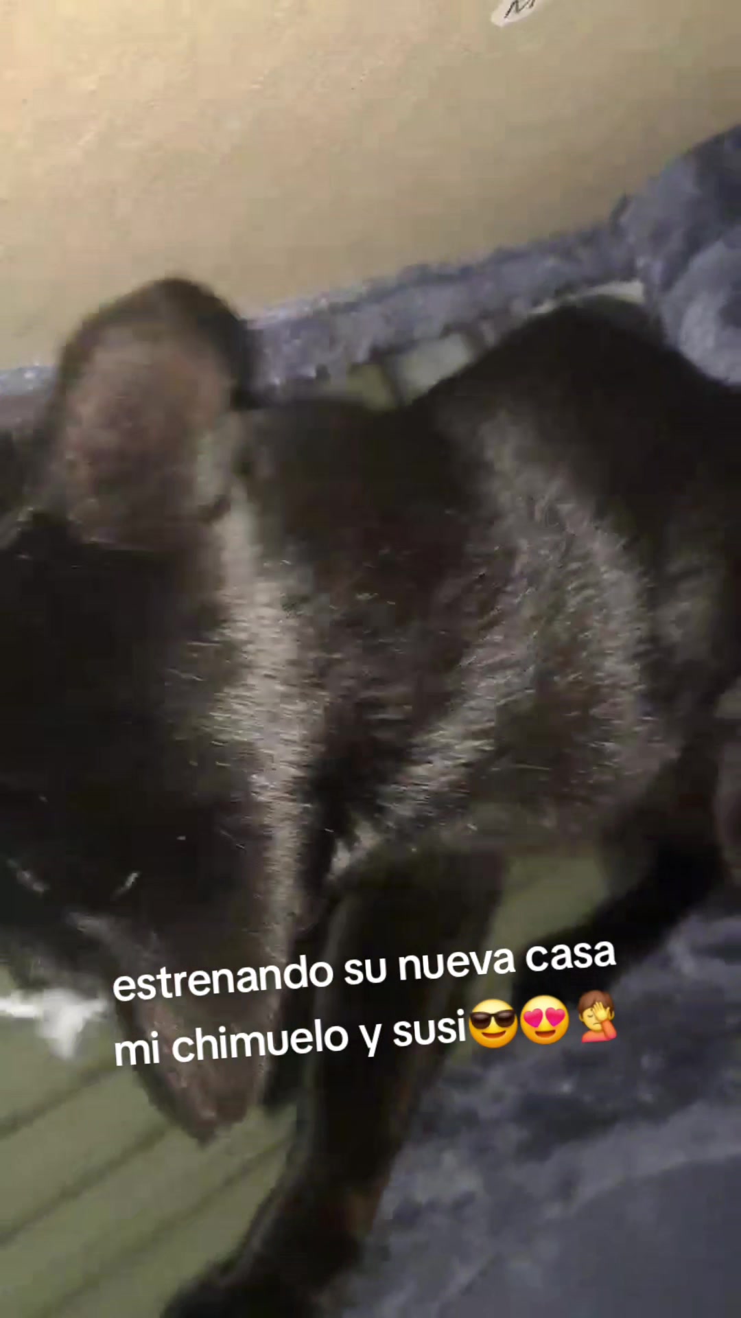 @🇻🇪👣🇪🇸🌹🇲🇽❤️🔥Mi_José83