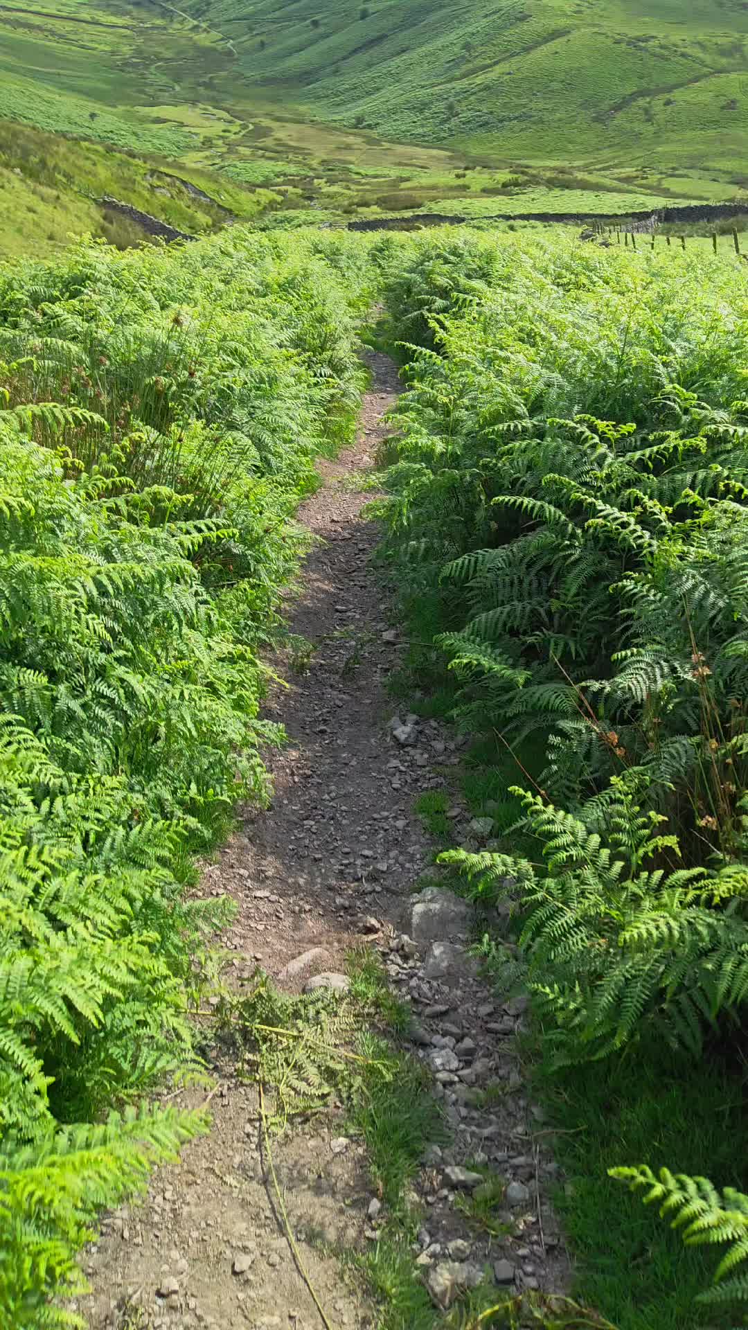 @Wild camping Britain