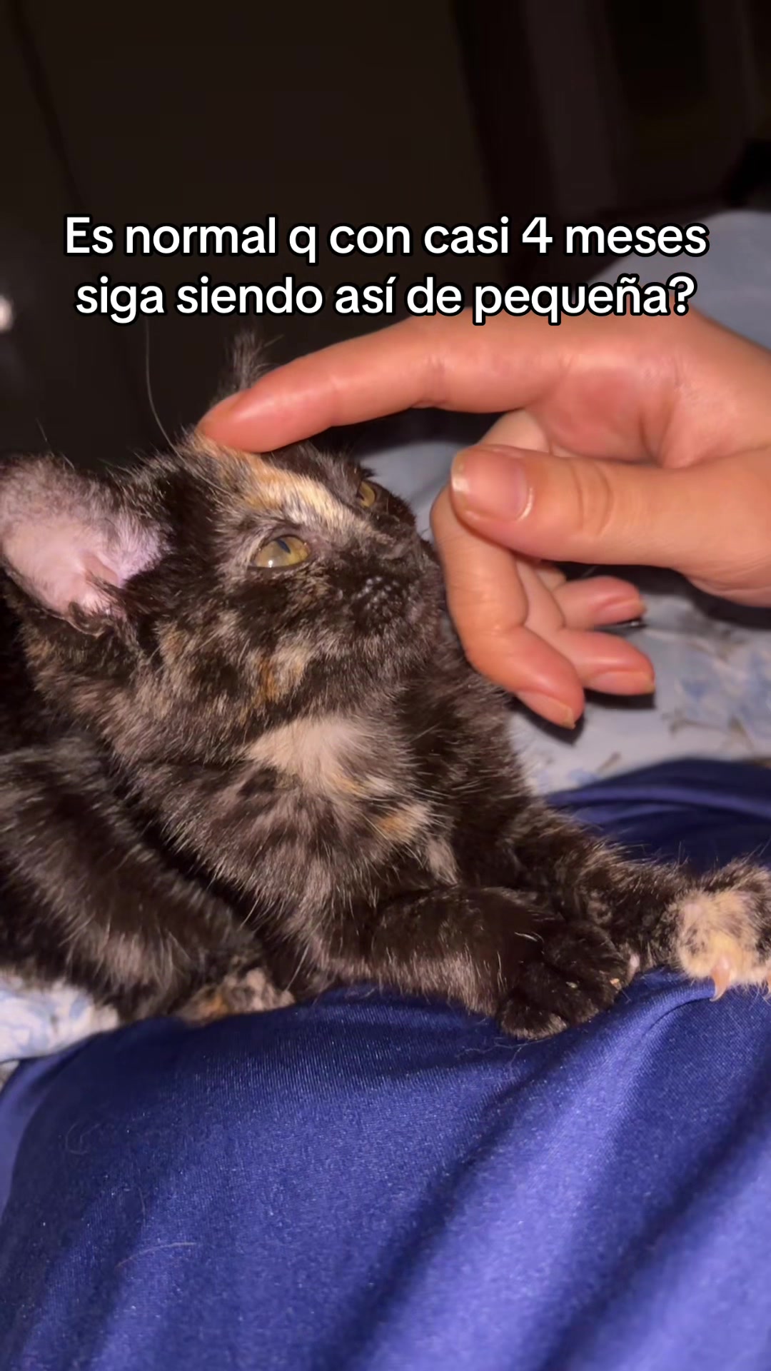 @lucisosva