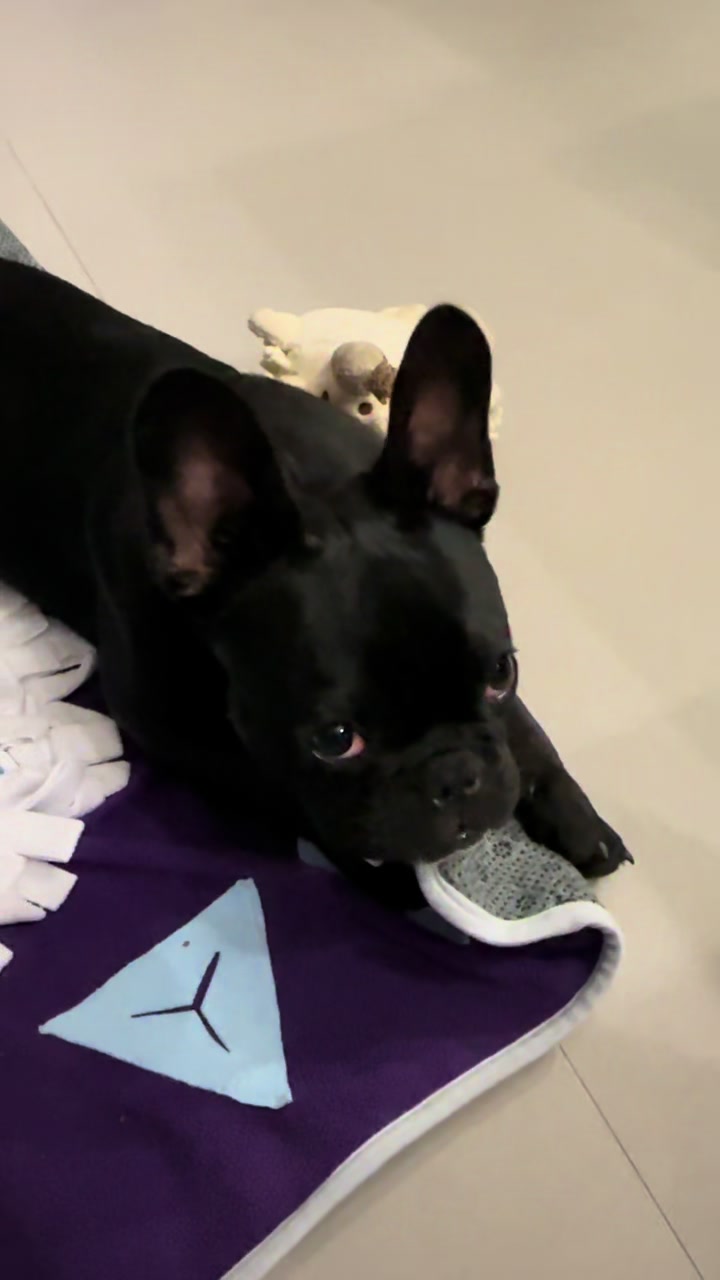 @Bullo_mal&ugrave;