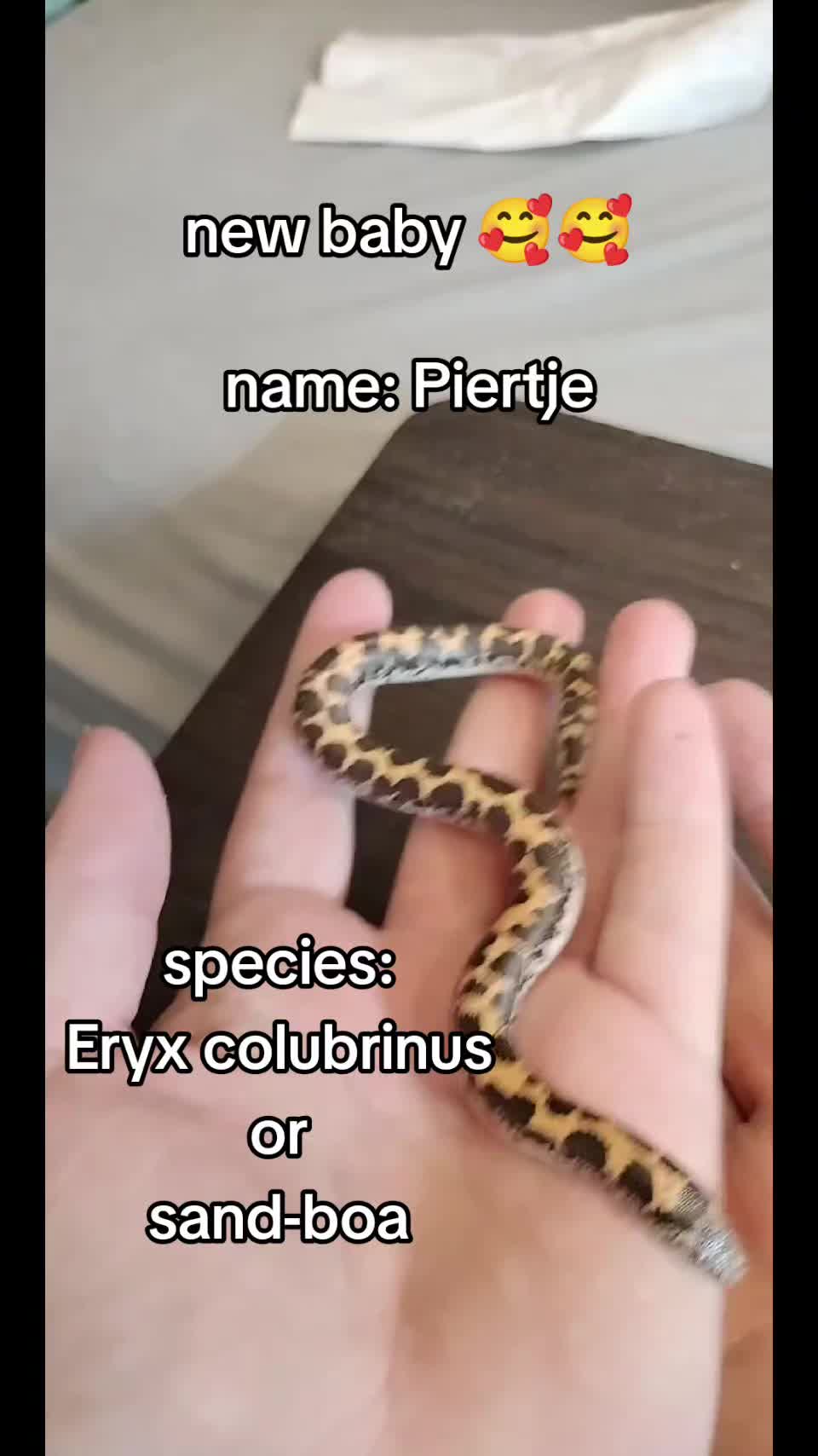 @Bestiesbeasties