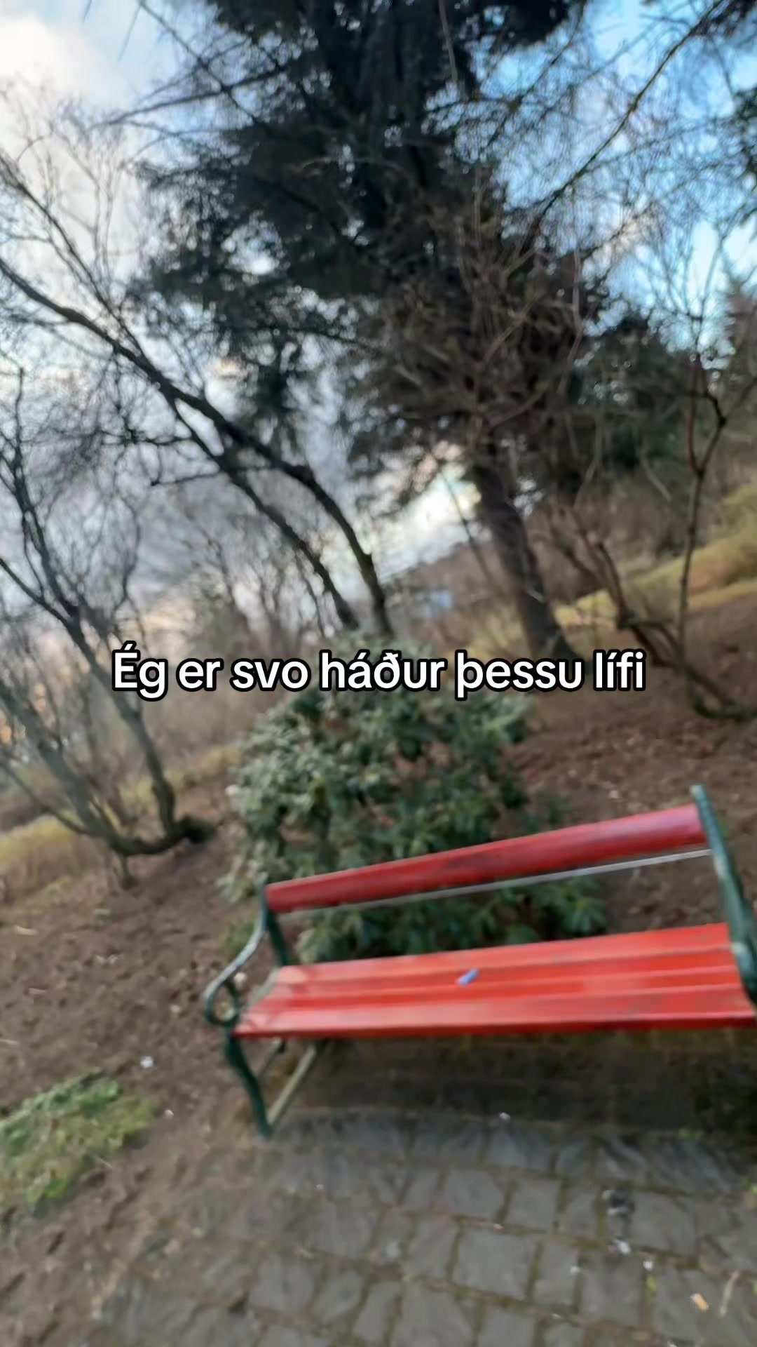 @Daníel Dagur