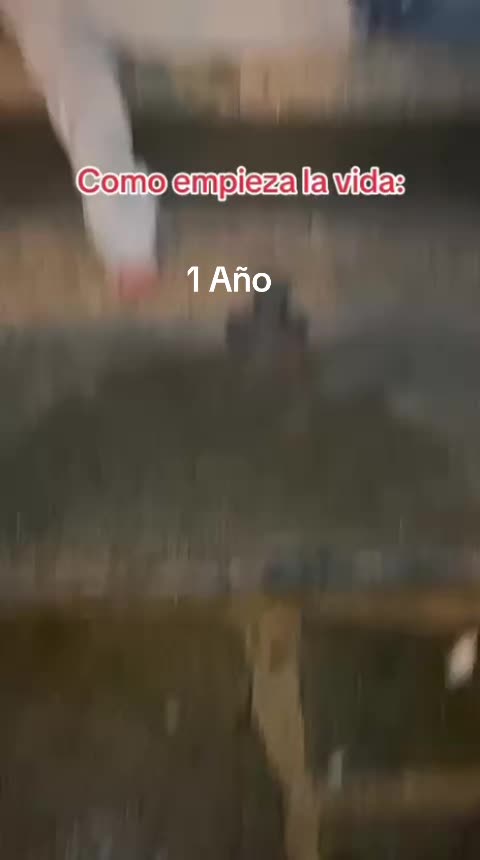 @Marquitoxs_013