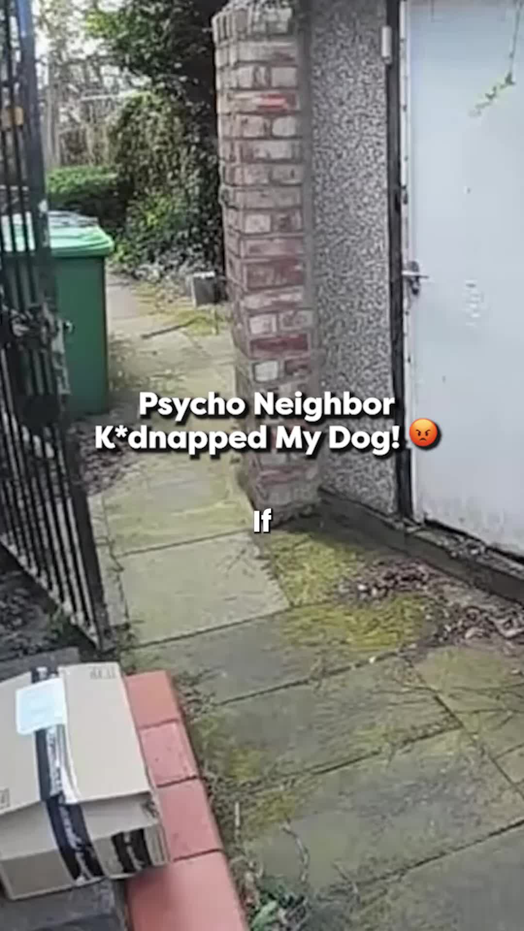 @Go Fetch