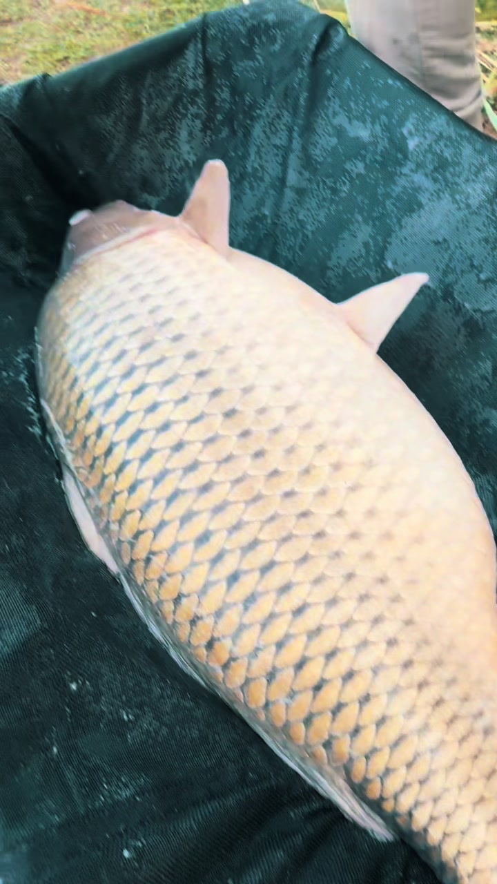 @MatravizHorgaszto
