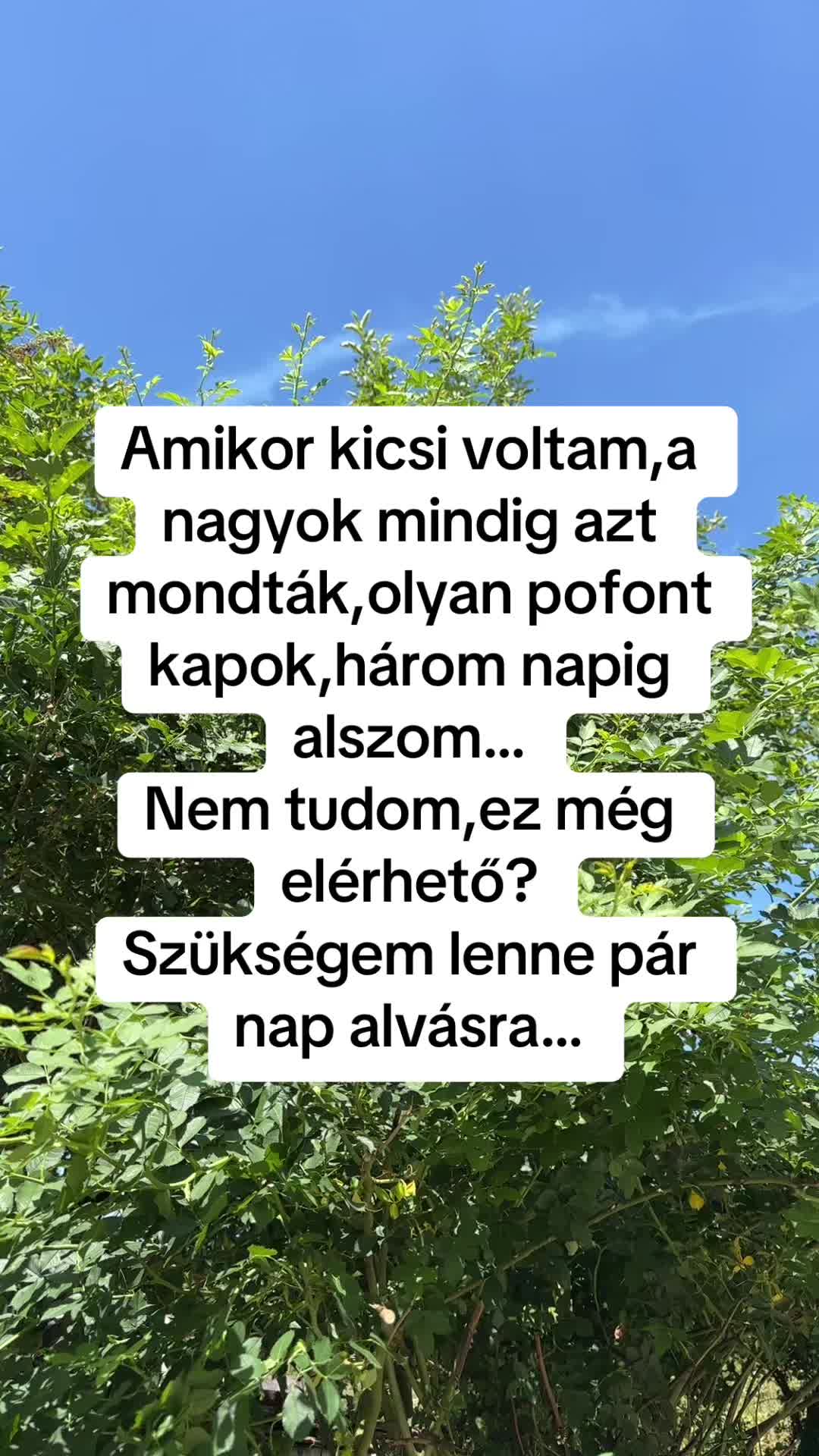 @#faszkivan
