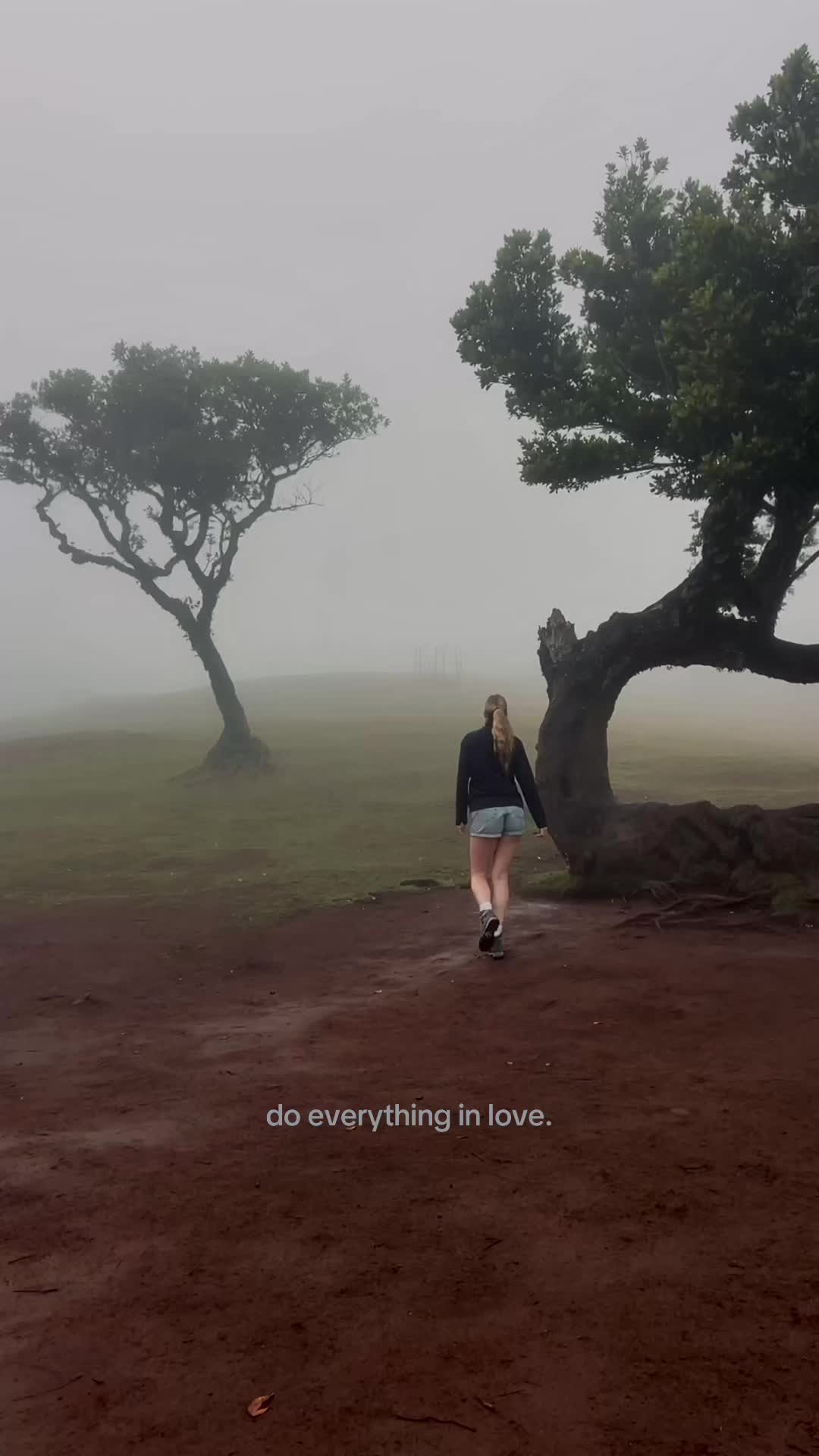 @vivi