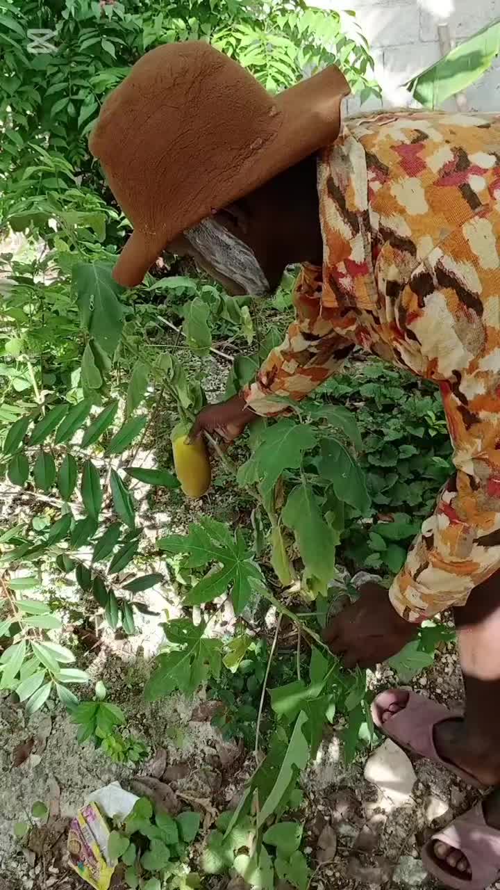 @TON M&Egrave;L&Egrave;K 🐄🐉🐉🇭🇹🇲🇫🇹🇿