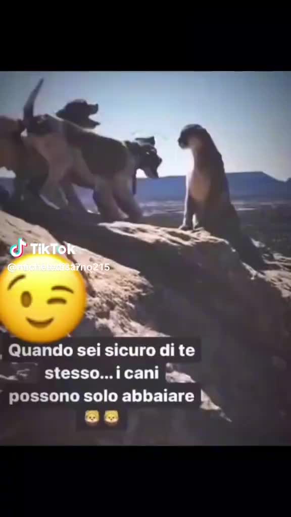 @A.S.17🔥