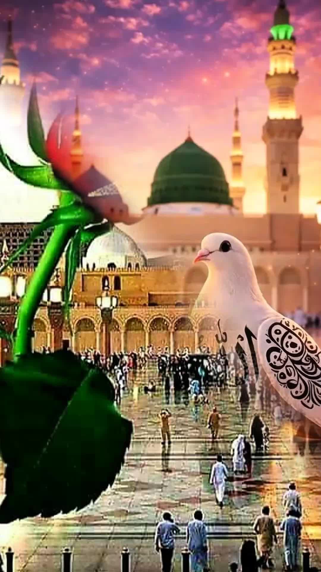 @Islamic Updates