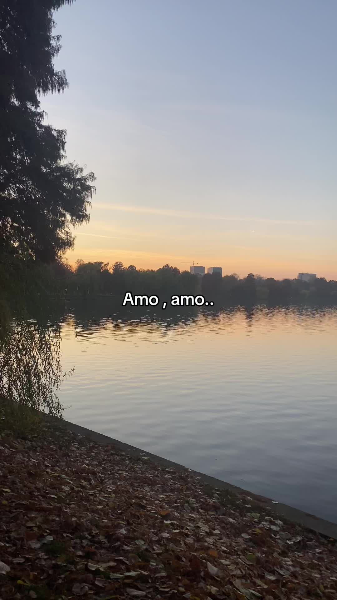 @Ady