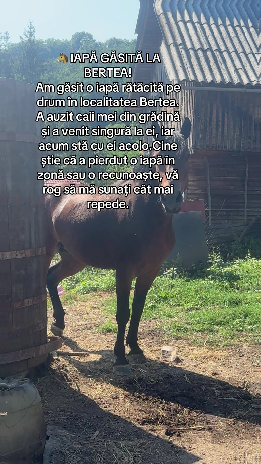 @Lupu Elena-Leonida
