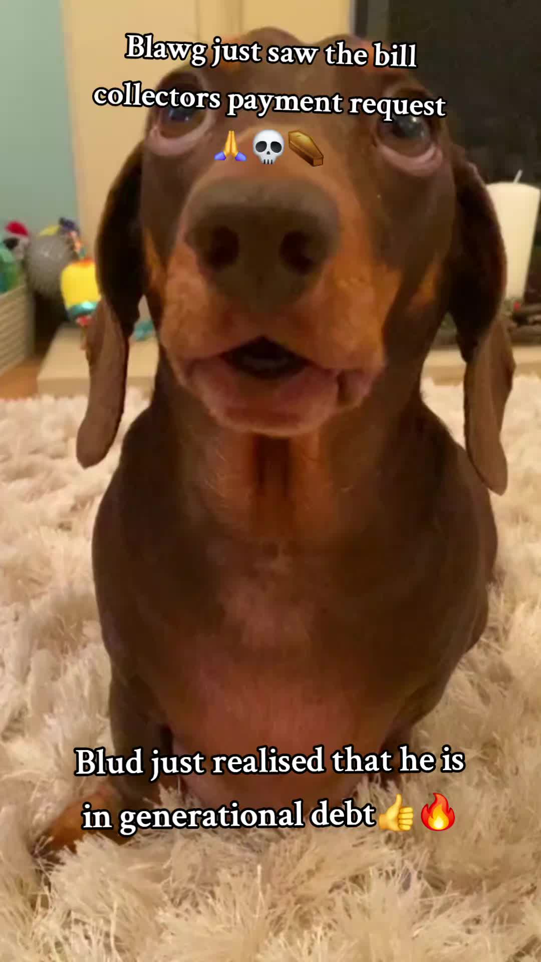 @donpollo2982