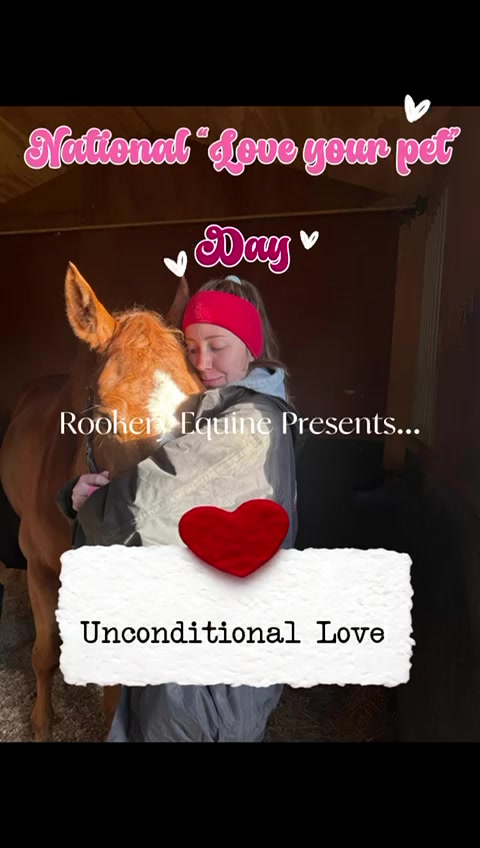 @Rookery Equine