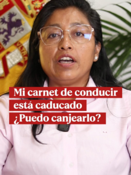 @Leonor Jami