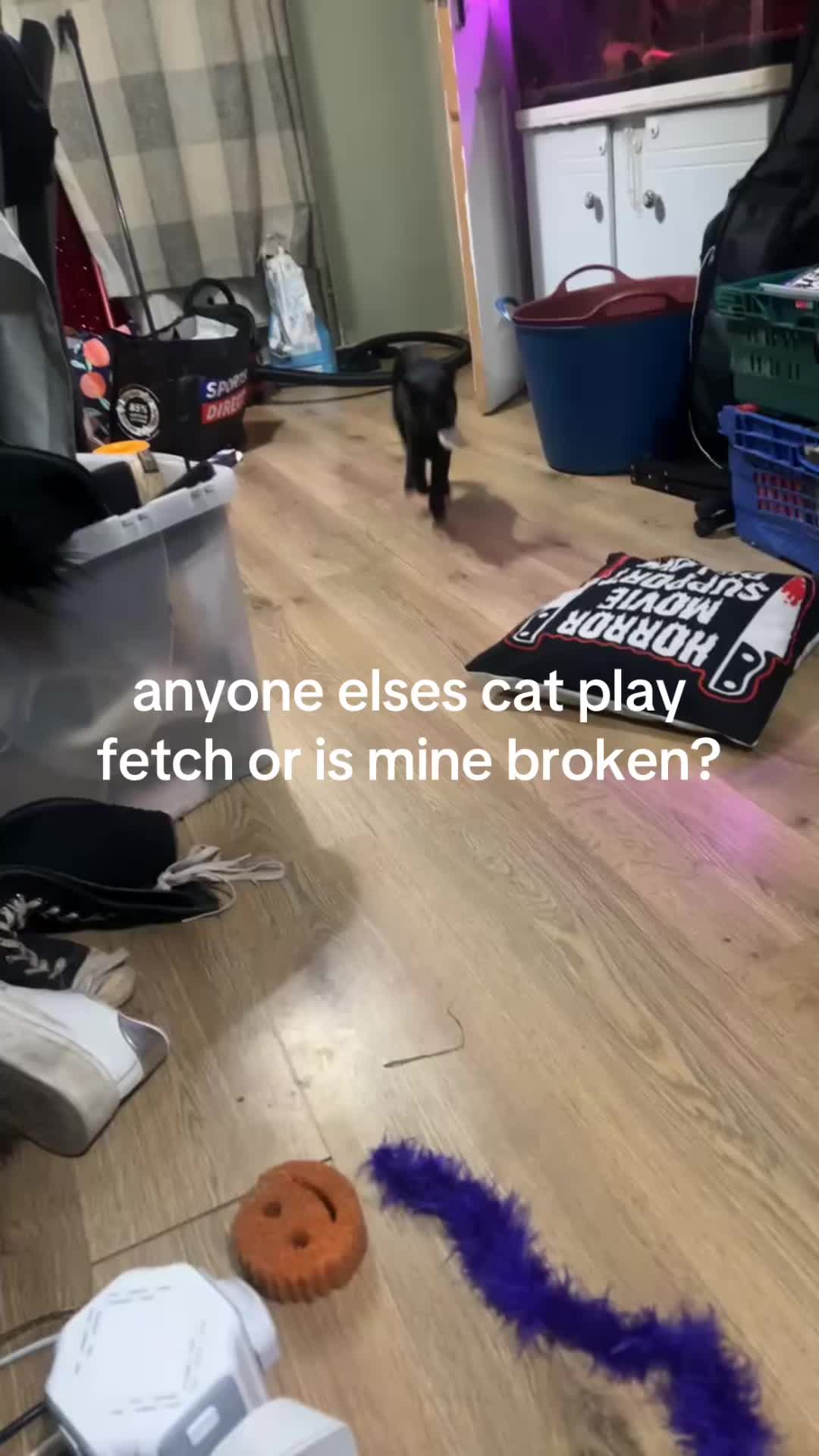 @abi 🫦