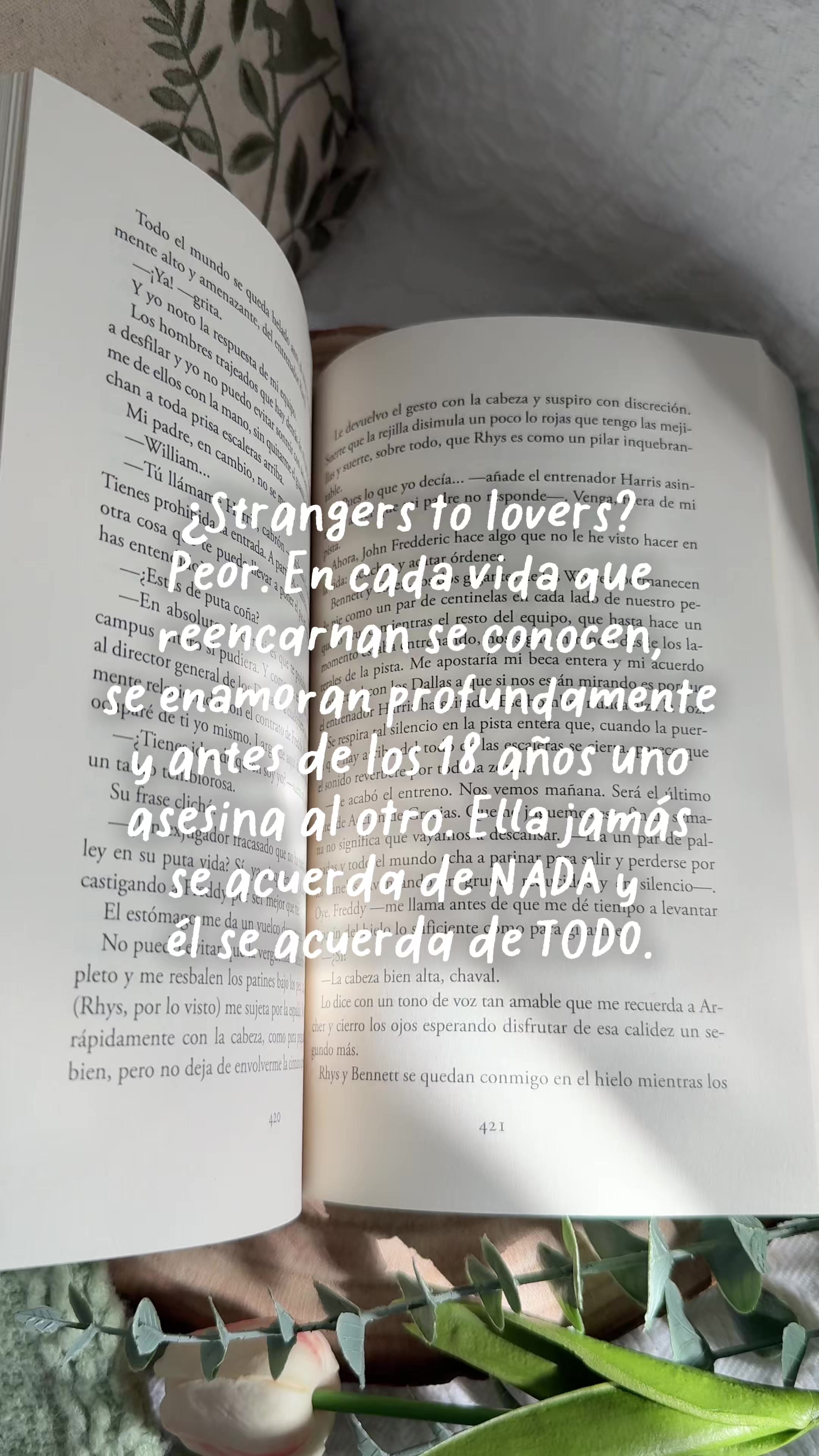 @Judith Capel 🎀☁️