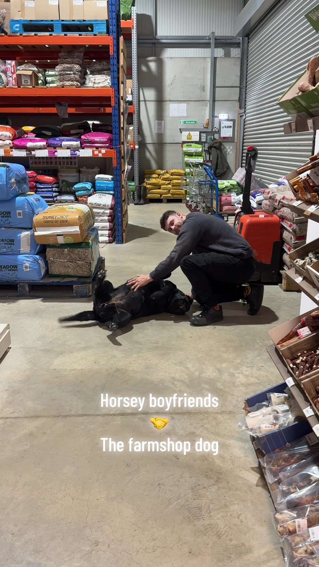 @Charlotte.Equestrian