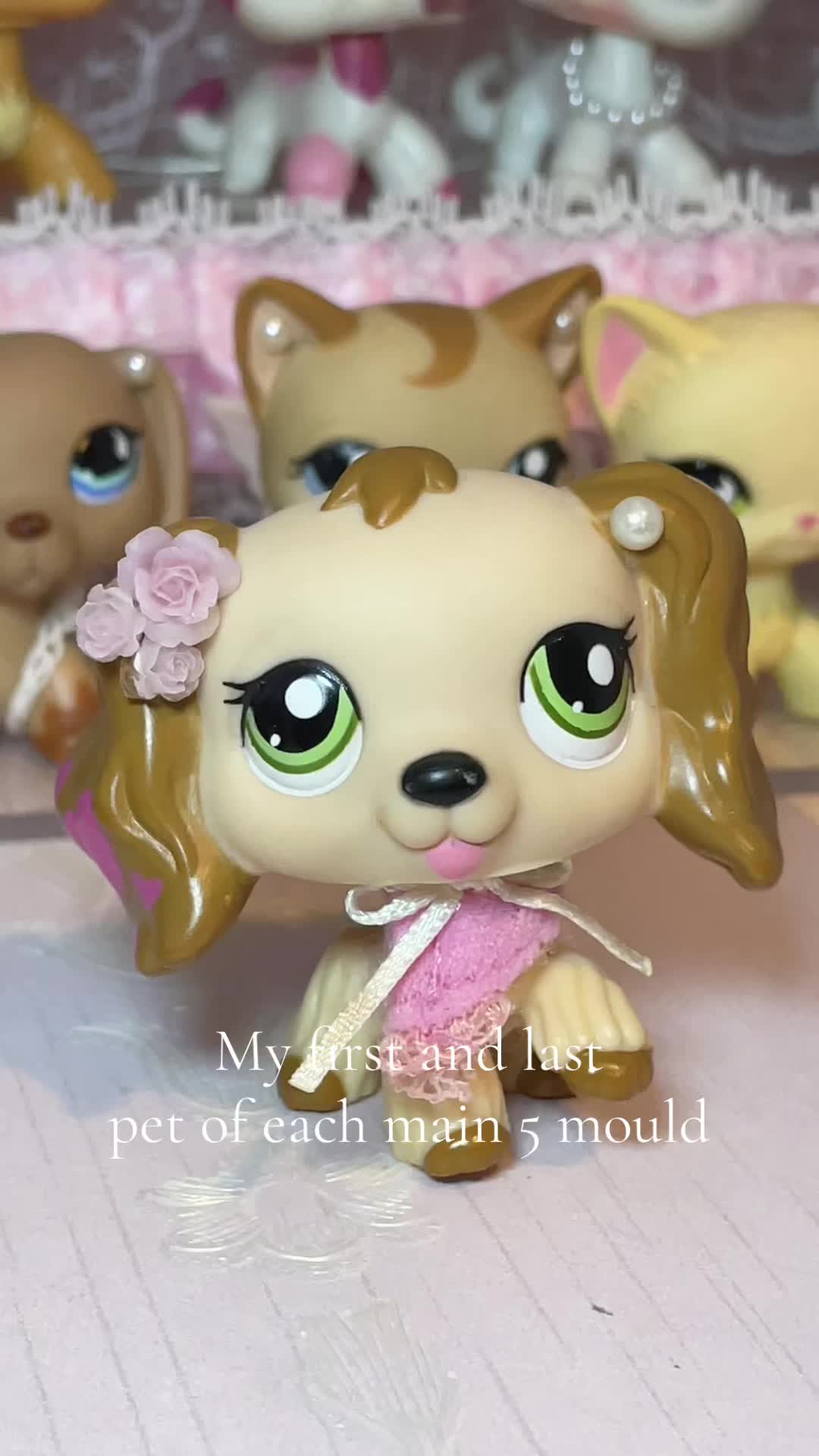 @🌸