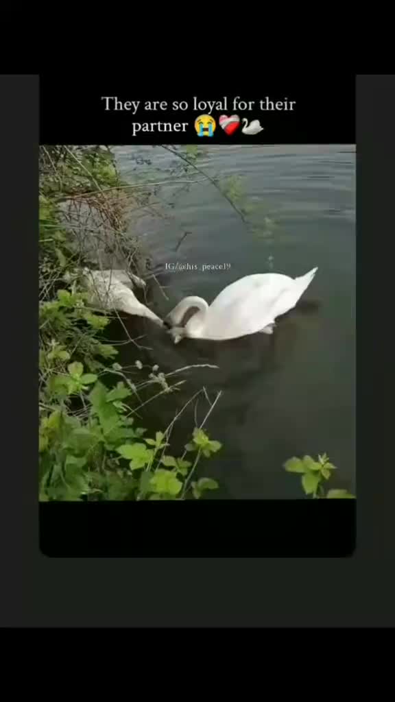 @𝒂𝒆𝒔𝒕𝒉𝒆𝒕𝒊𝒄