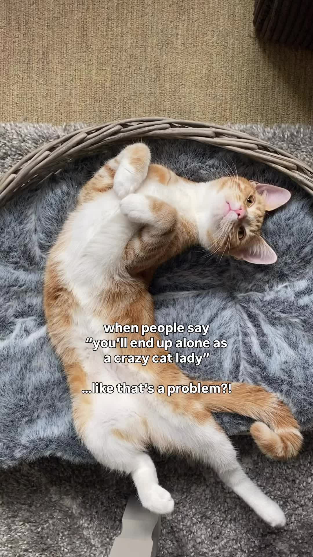 @lola_and_popps