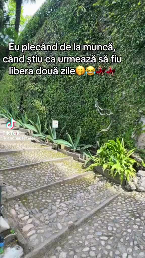 @Miha Miha