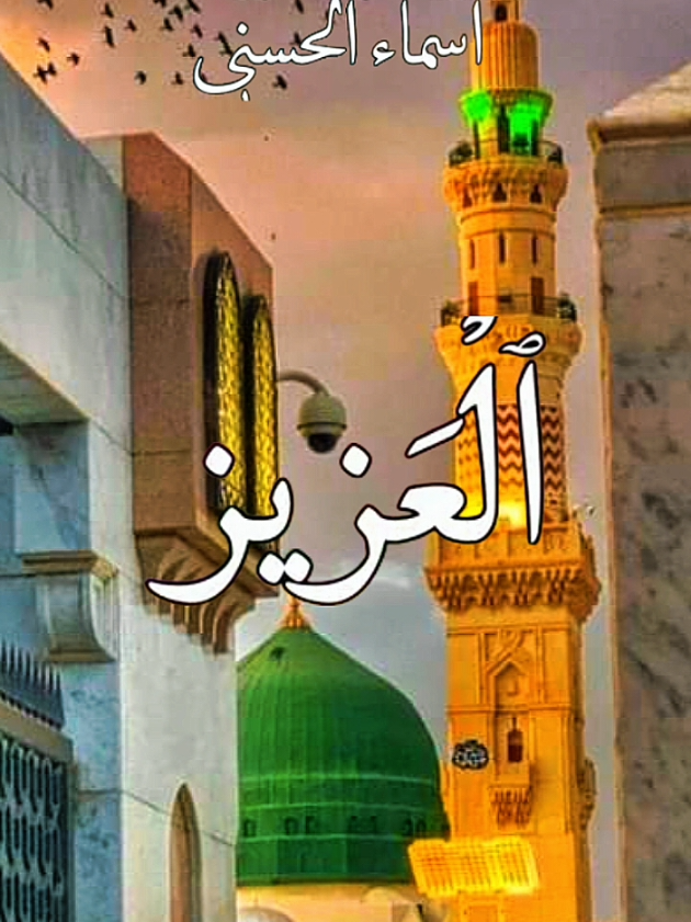 @💞Bint E Akbar💞