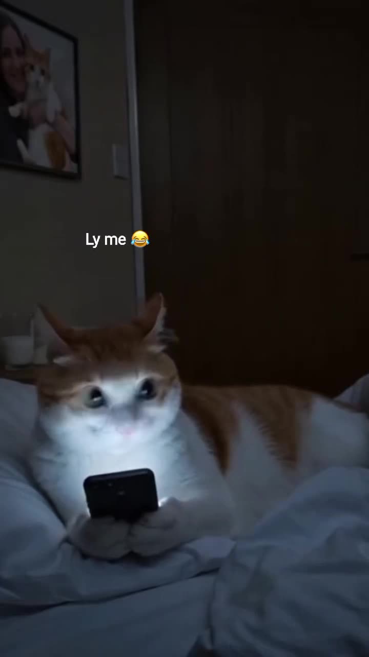 @𝑷𝒊𝒚𝒂𝒓𝒊𝒊🎀