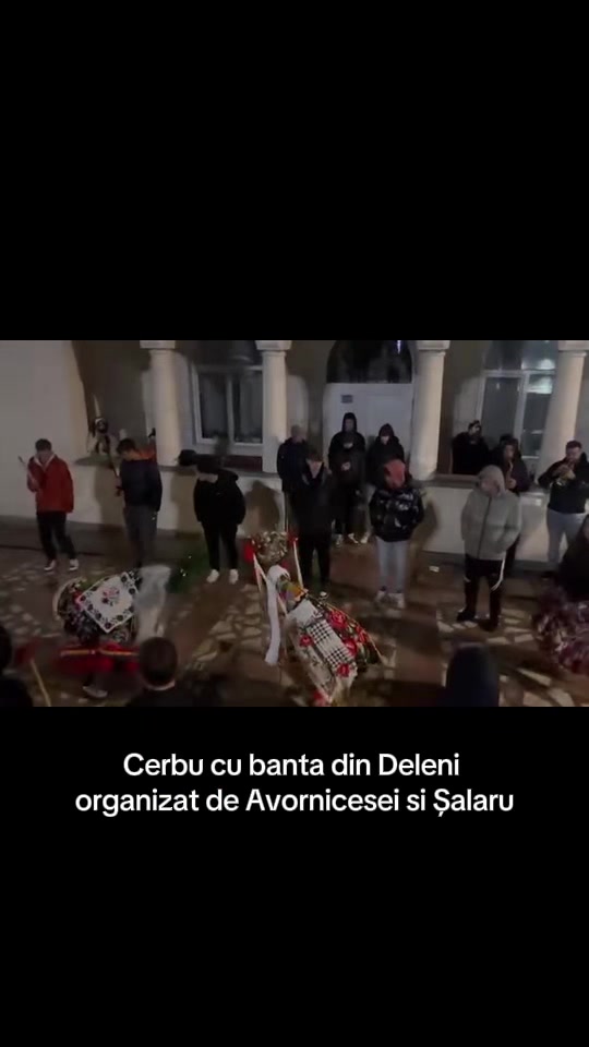 @Robislr