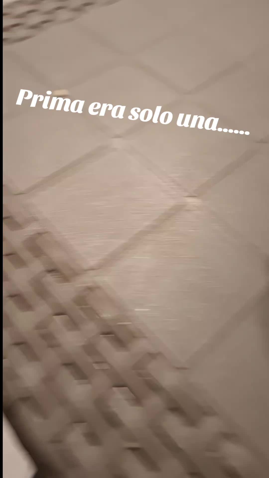 @MenaPalmieri