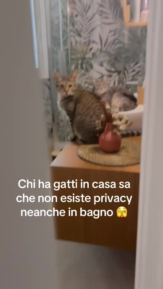 @Simona81🦋