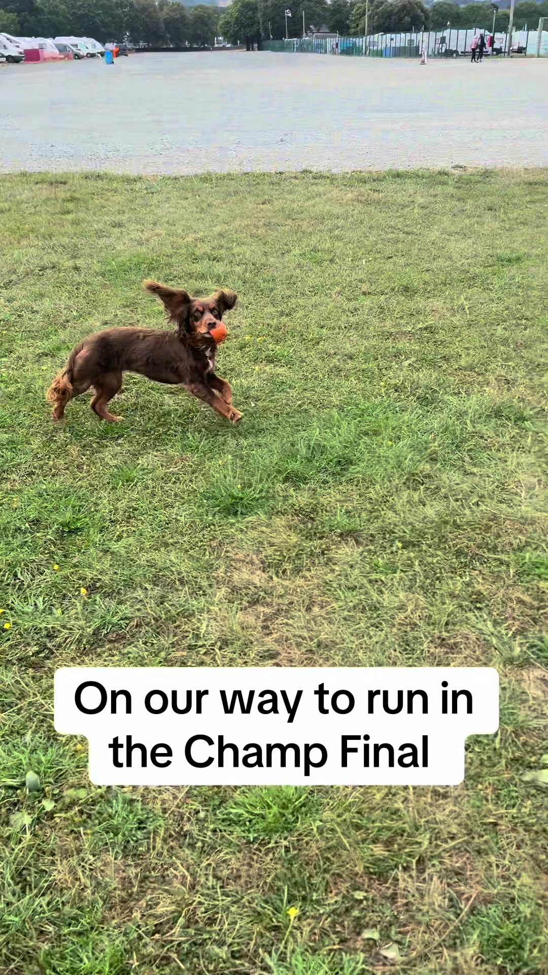 @Pipstar 🐕&zwj;🦺
