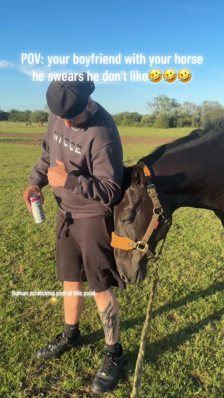 @Charlotte.Equestrian