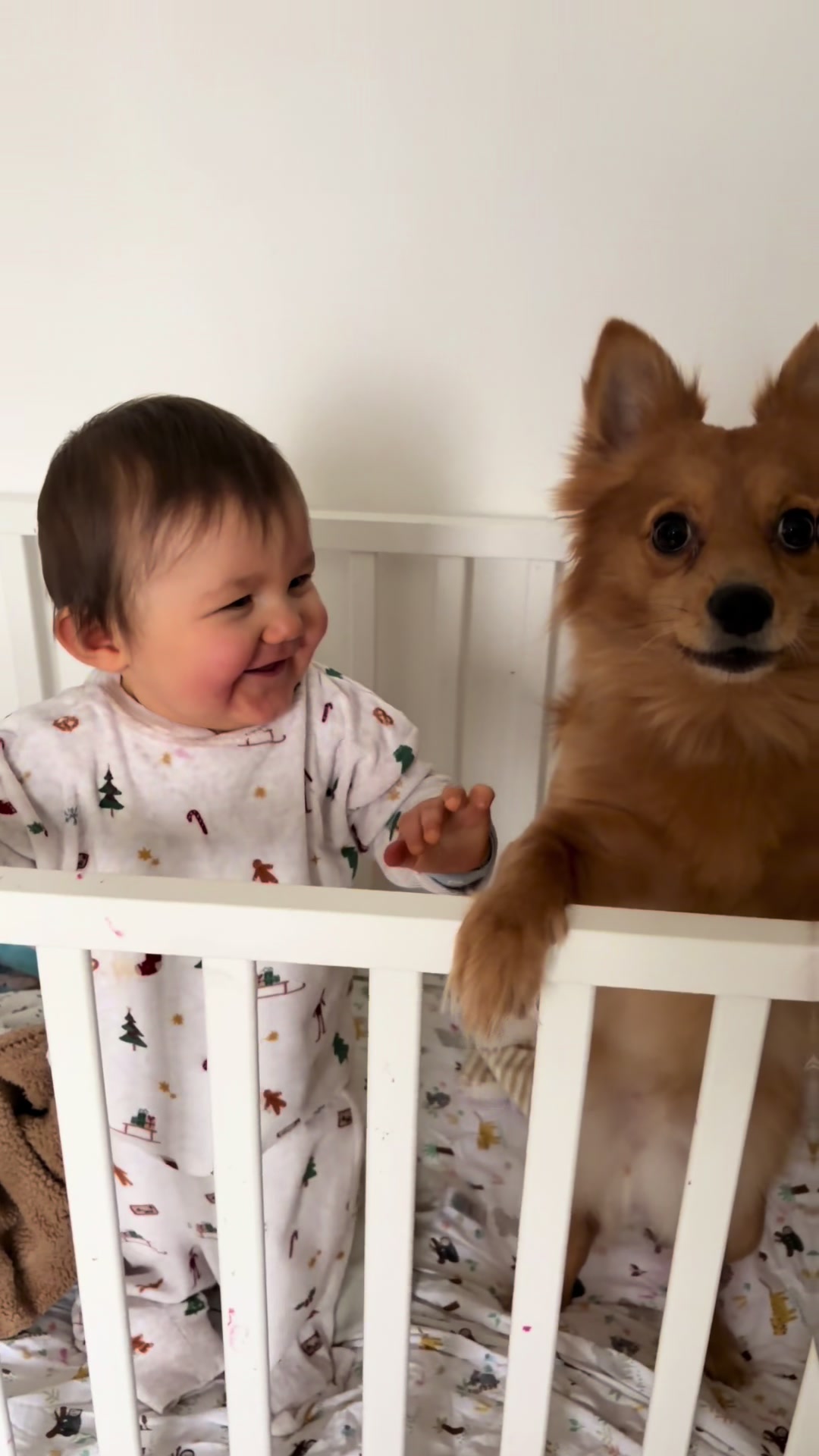 @margot_mom_of_louis🍼🧸