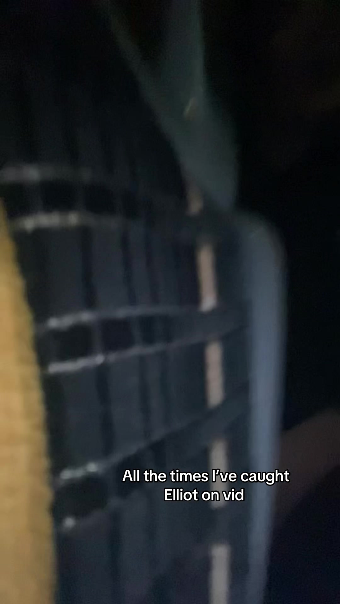 @Ida 🦥