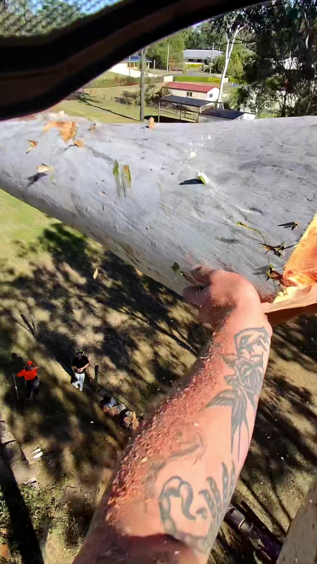 @LumberJackTravels