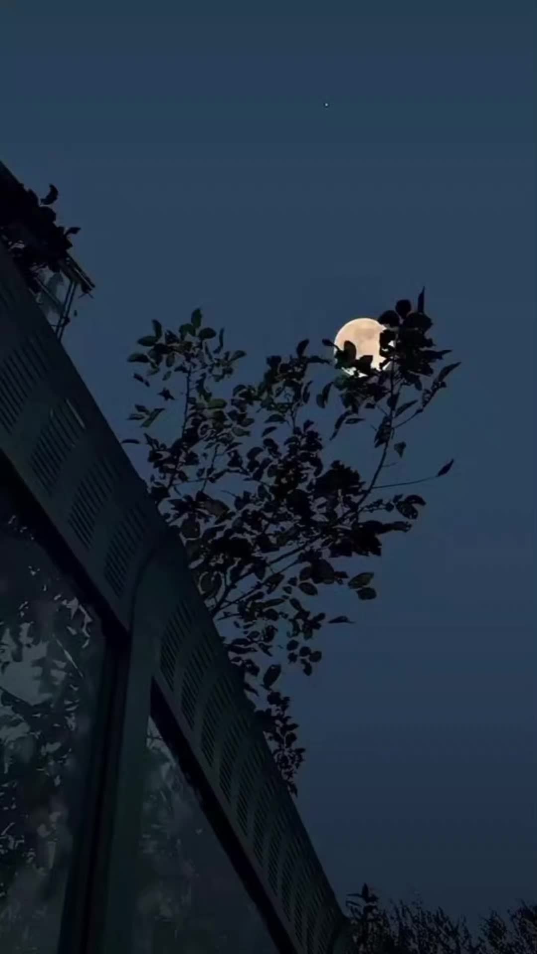 @ᗩ&alpha;ѕ&upsilon; Ɩуя&iota;cѕ...