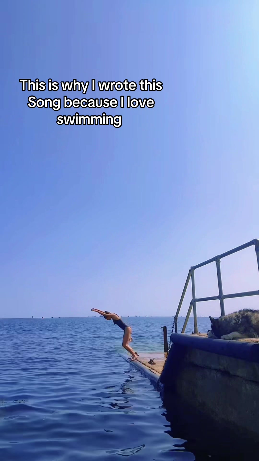 @steviejaysearle