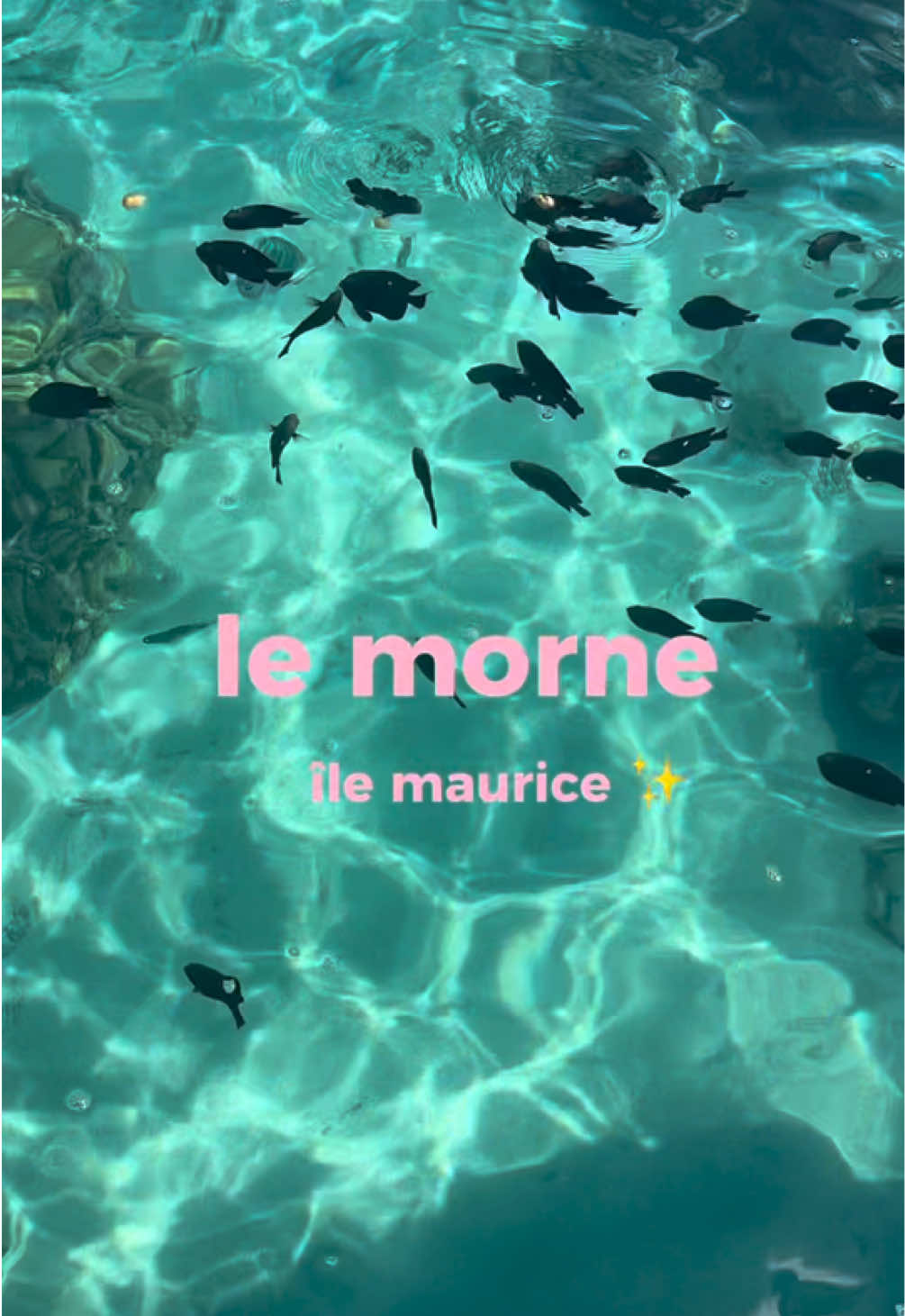 @oui bébé