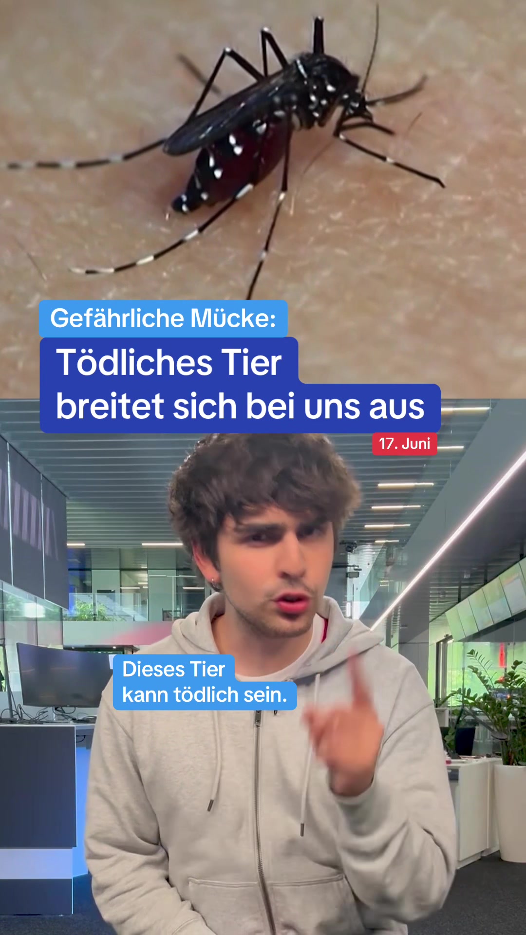 @Zeit im Bild - ZIB