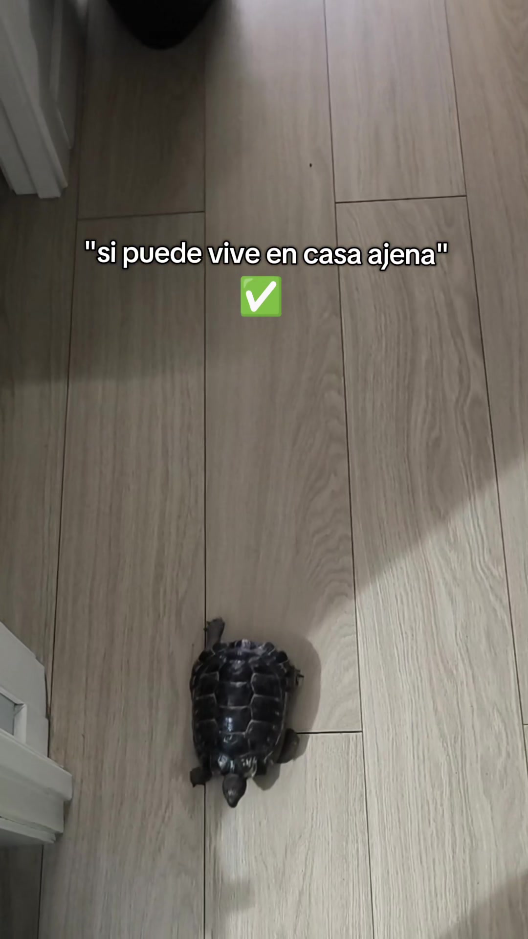 @𝑨𝒏𝒂