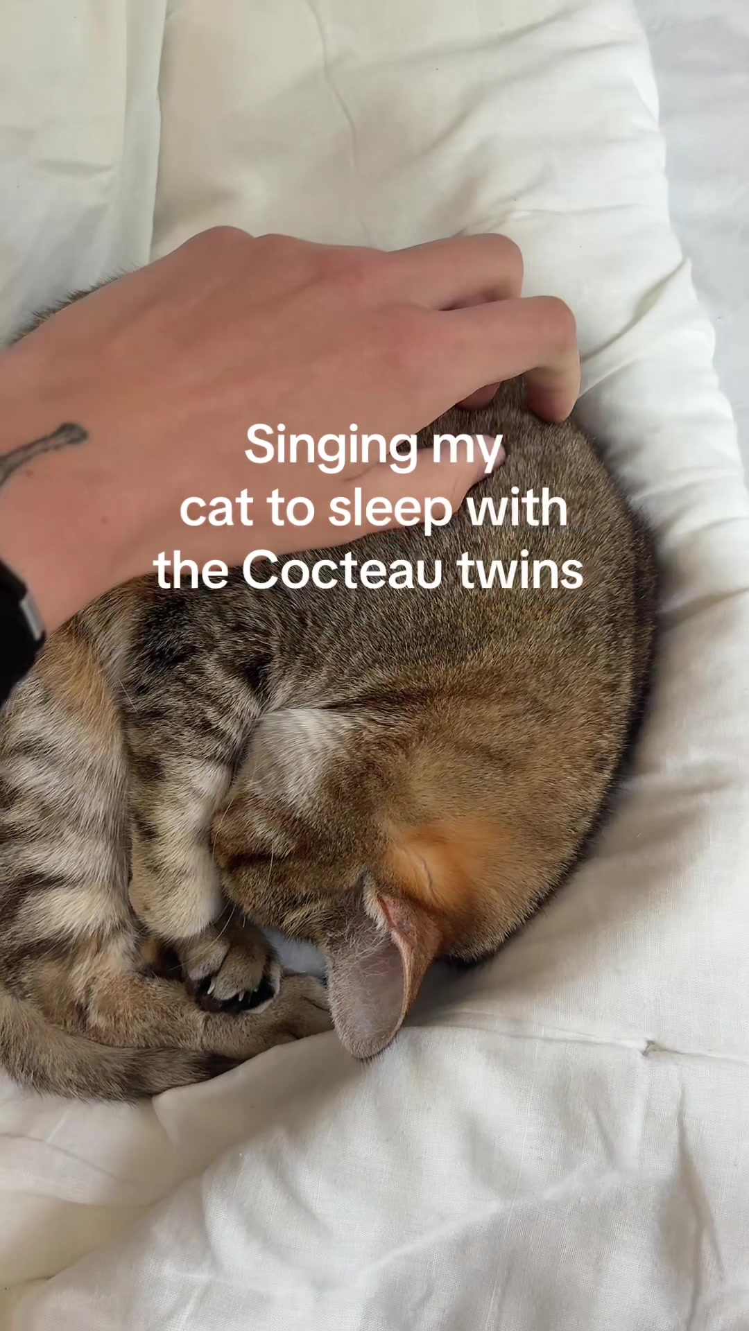 @Fran