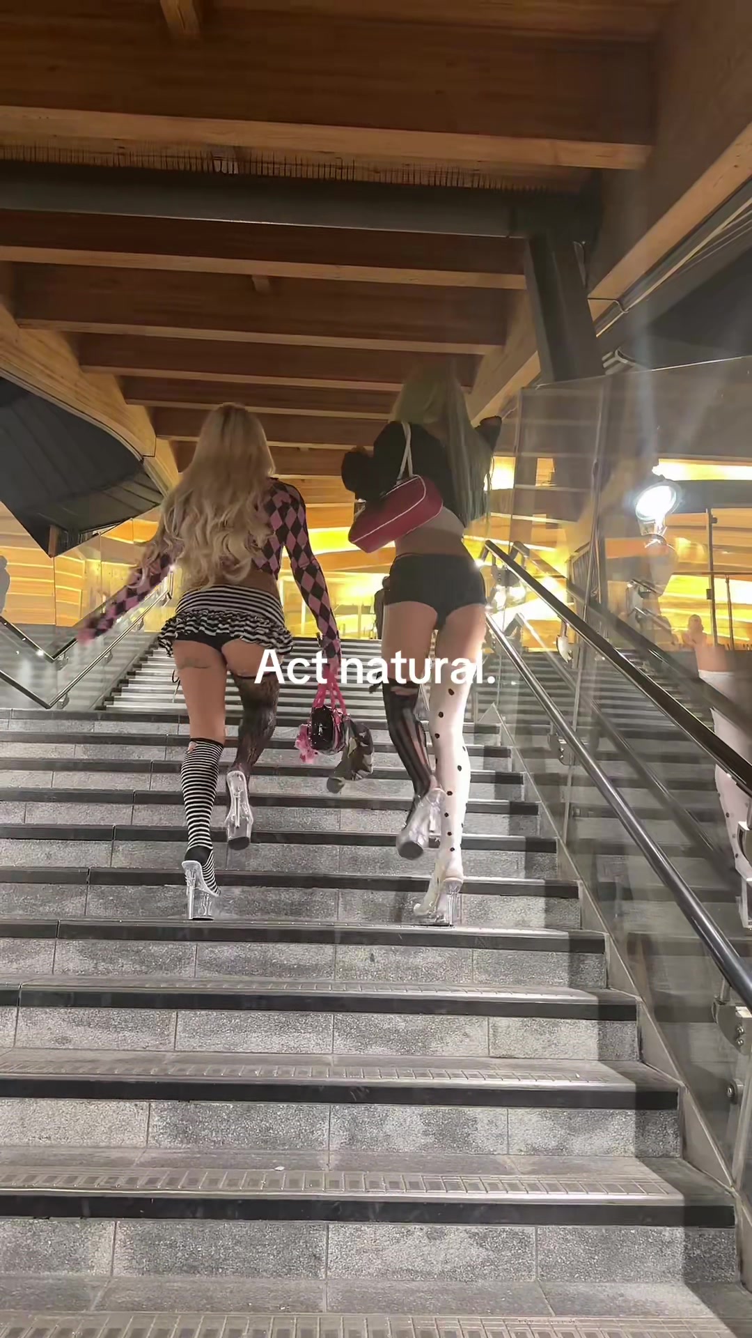 @harriibella